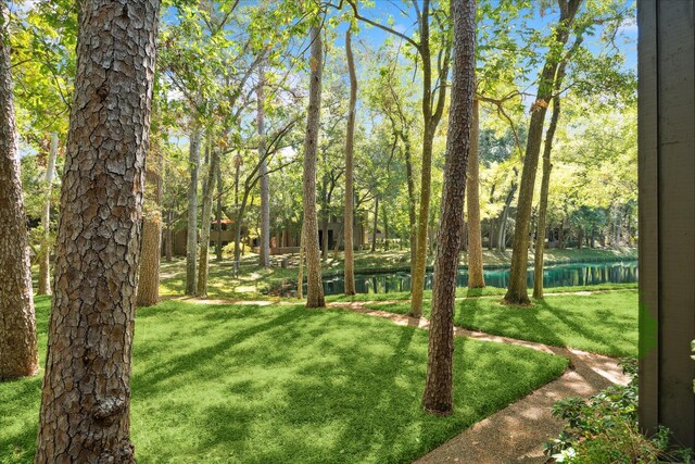 53 Litchfield Ln, Houston, TX 77024 - view of grassy yard with a water view