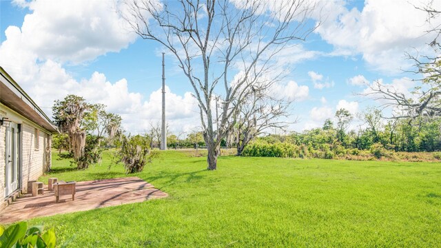 view of yard featuring a patio area