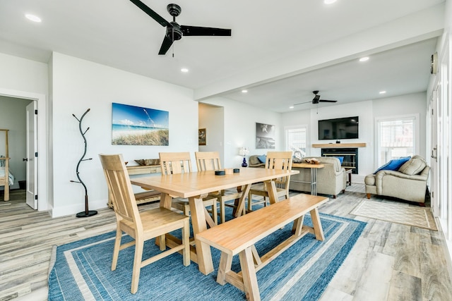 dining room featuring a healthy amount of sunlight, recessed lighting, light wood-type flooring, and ceiling fan