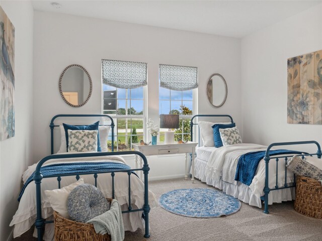 164 Peninsula Point Dr, Montgomery, TX 77356 - view of carpeted bedroom