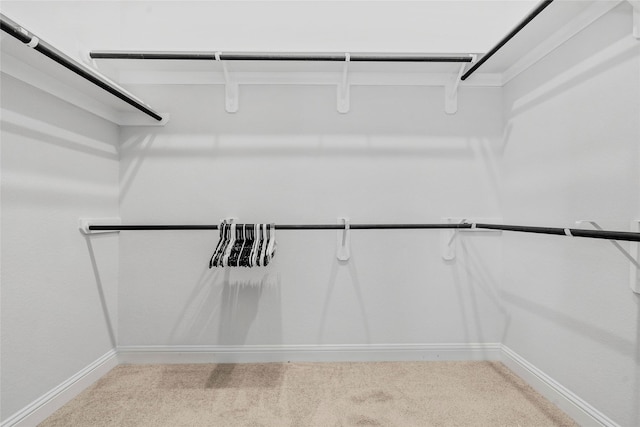 spacious closet with carpet flooring
