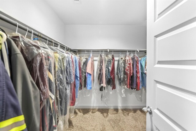spacious closet featuring carpet flooring