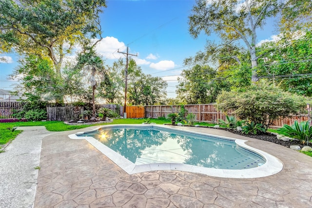view of swimming pool featuring a patio, a fenced backyard, and a fenced in pool