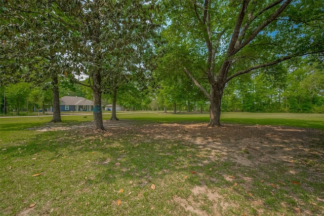 35 County Road 2292, Cleveland, TX 77327 - photo 18