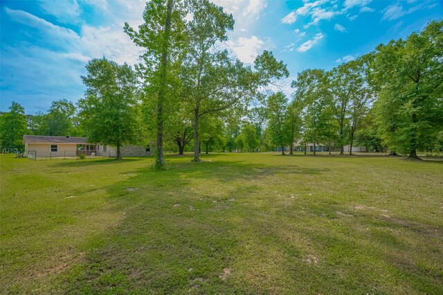 35 County Road 2292, Cleveland, TX 77327 - photo 21