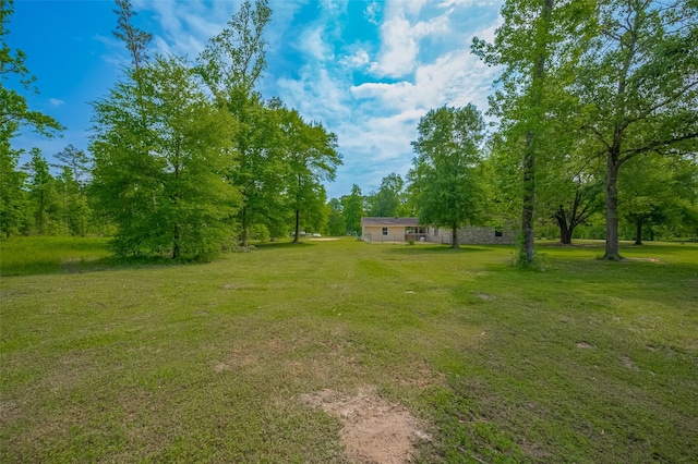 35 County Road 2292, Cleveland, TX 77327 - photo 22