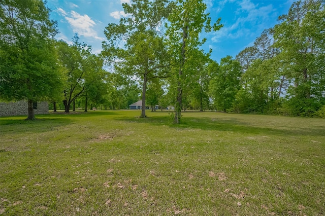 35 County Road 2292, Cleveland, TX 77327 - photo 23