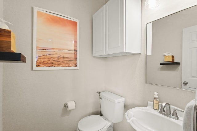 bathroom featuring a sink and toilet