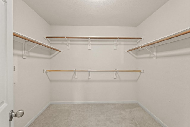 spacious closet featuring light carpet