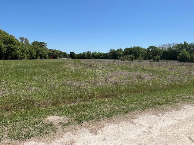 3450 Fm 1579, Schulenburg, TX 78956 - photo 1