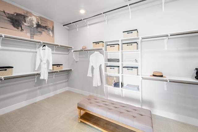 14127 Coyote Pointe Dr, Cypress, TX 77433 - spacious closet with carpet
