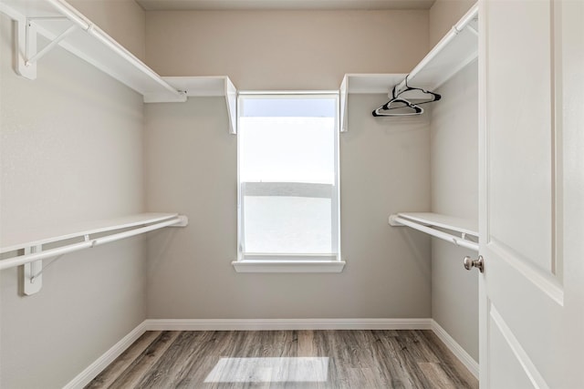 206 Damar Cv, Canyon Lake, TX 78133 - spacious closet with wood finished floors