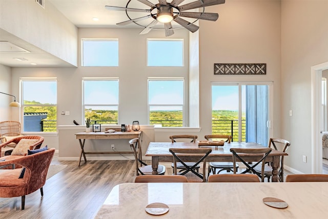 206 Damar Cv, Canyon Lake, TX 78133 - dining area with a wealth of natural light, a towering ceiling, baseboards, and wood finished floors