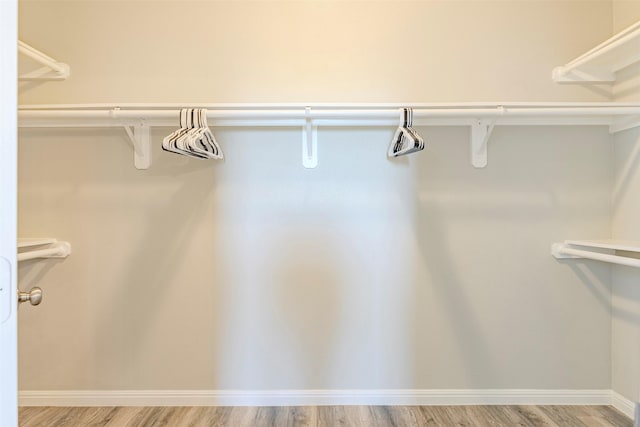 206 Damar Cv, Canyon Lake, TX 78133 - spacious closet featuring light wood-style flooring