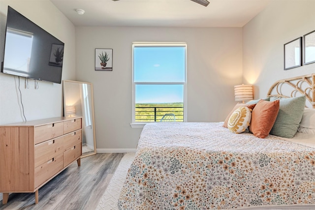 206 Damar Cv, Canyon Lake, TX 78133 - bedroom featuring light wood-style floors and baseboards