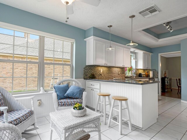 kitchen featuring decorative backsplash, a wealth of natural light, a ceiling fan, and visible vents