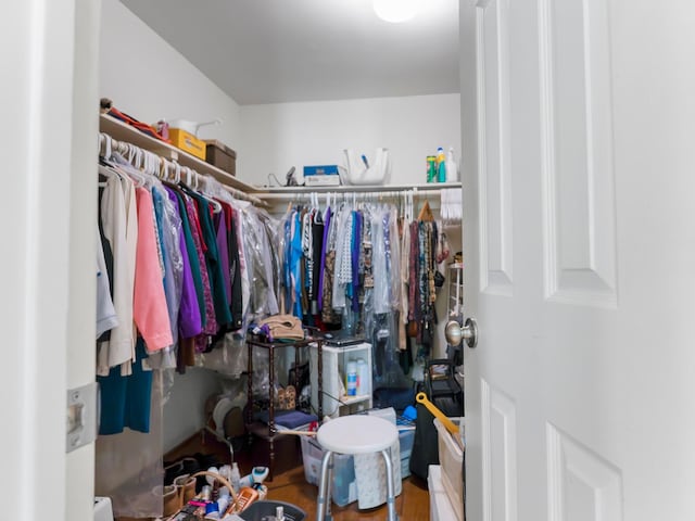 view of walk in closet