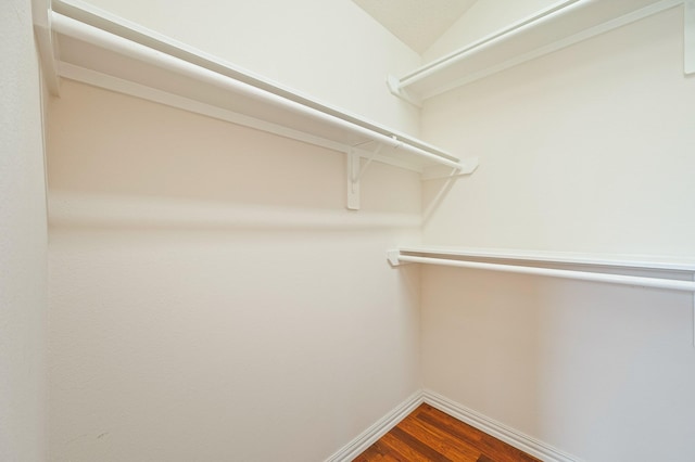 spacious closet with dark wood-type flooring