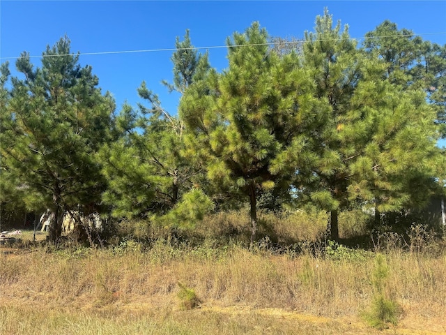 33 County Road 3414, Cleveland, TX 77327