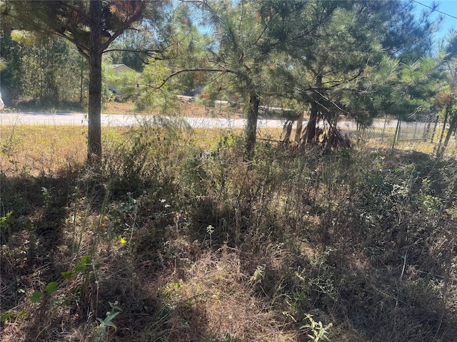 33 County Road 3414, Cleveland, TX 77327