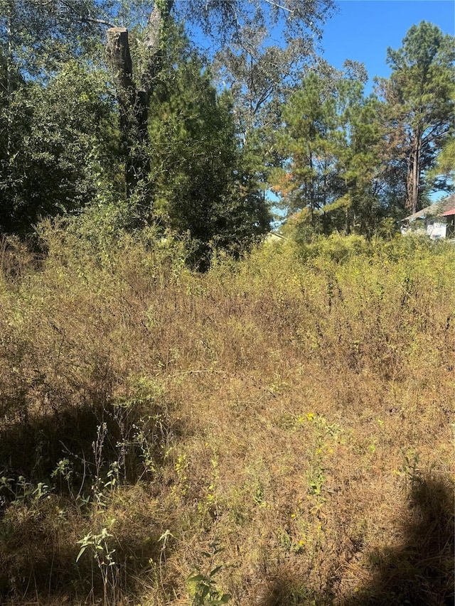 33 County Road 3414, Cleveland, TX 77327