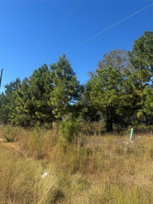 33 County Road 3414, Cleveland, TX 77327