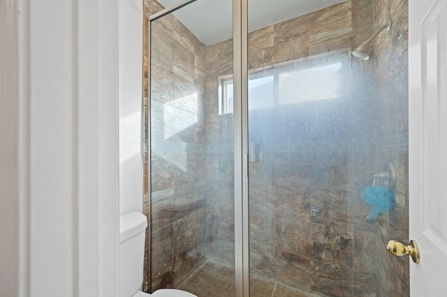 14942 Gray Ridge Dr, Houston, TX 77082 - full bath featuring toilet and a stall shower