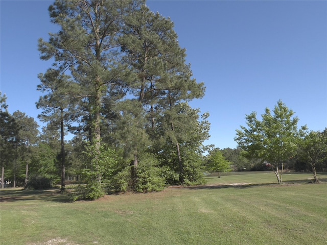 4324 Holstein Dr, Cleveland, TX 77328 - photo 28
