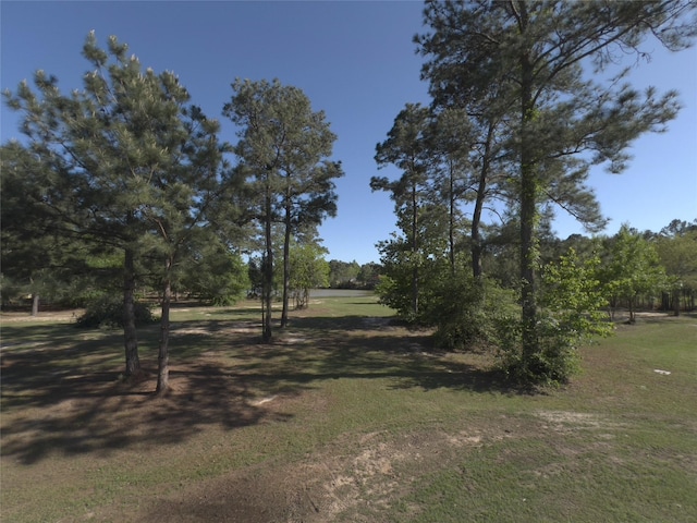4324 Holstein Dr, Cleveland, TX 77328 - photo 25