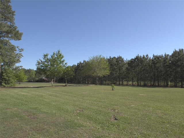 4324 Holstein Dr, Cleveland, TX 77328 - photo 27