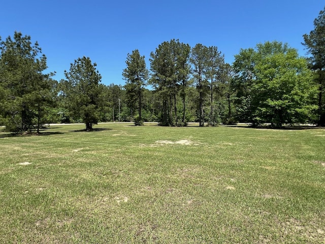 4324 Holstein Dr, Cleveland, TX 77328 - photo 29