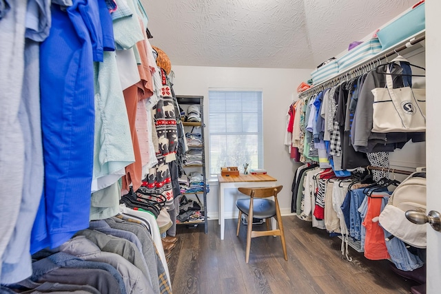 walk in closet featuring wood finished floors