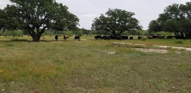 LOT43 Pecan Valley Dr, Energy, TX 76452 - photo 17