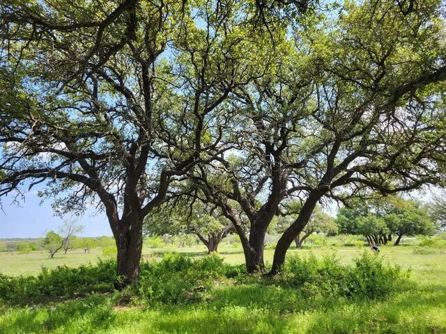 LOT43 Pecan Valley Dr, Energy, TX 76452 - photo 3