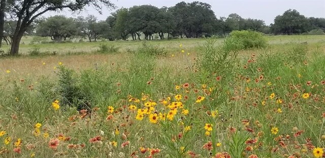 LOT43 Pecan Valley Dr, Energy, TX 76452 - photo 5