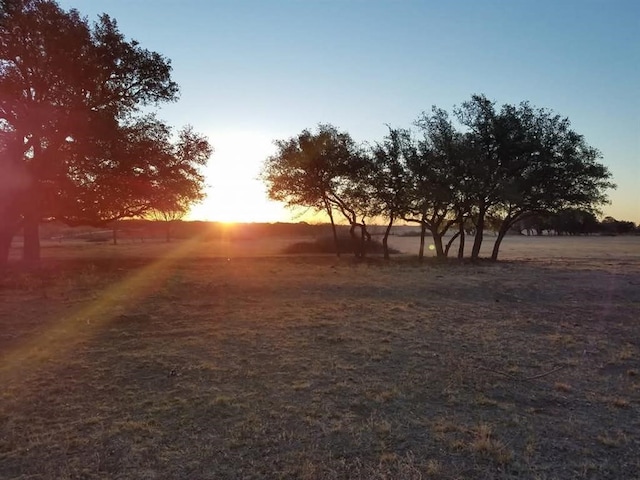 LOT43 Pecan Valley Dr, Energy, TX 76452 - photo 6