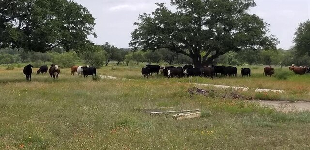 LOT43 Pecan Valley Dr, Energy, TX 76452 - photo 7