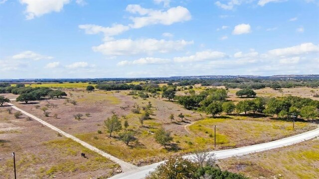 LOT43 Pecan Valley Dr, Energy, TX 76452 - photo 11