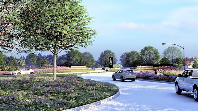 500 Dove Meadow Ln, Katy, TX 77493 - view of asphalt road with street lights and curbs