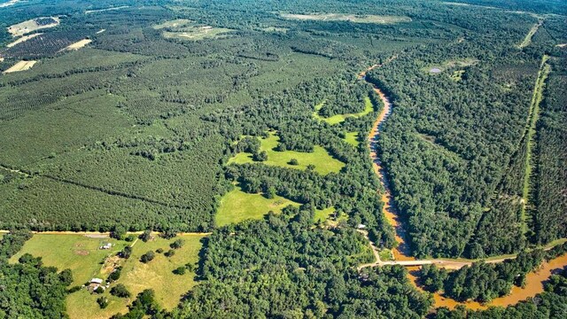 2632 County Road 789, Douglass, TX 75943 - photo 10