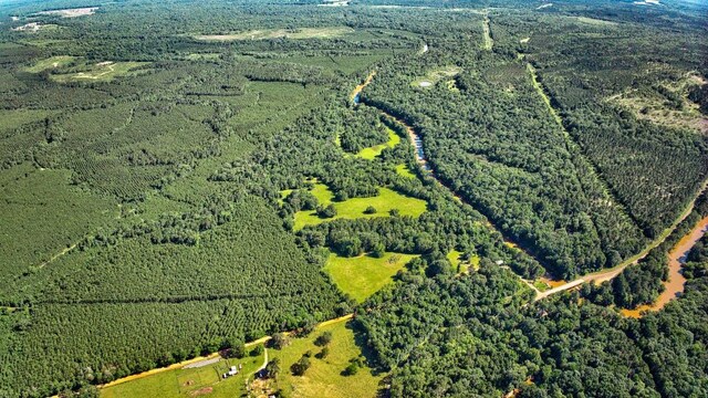 2632 County Road 789, Douglass, TX 75943 - photo 11