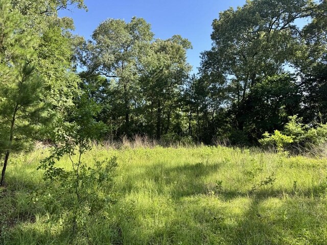 2632 County Road 789, Douglass, TX 75943 - photo 14