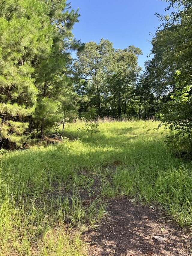 2632 County Road 789, Douglass, TX 75943 - photo 15