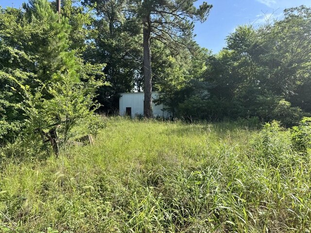 2632 County Road 789, Douglass, TX 75943 - photo 18