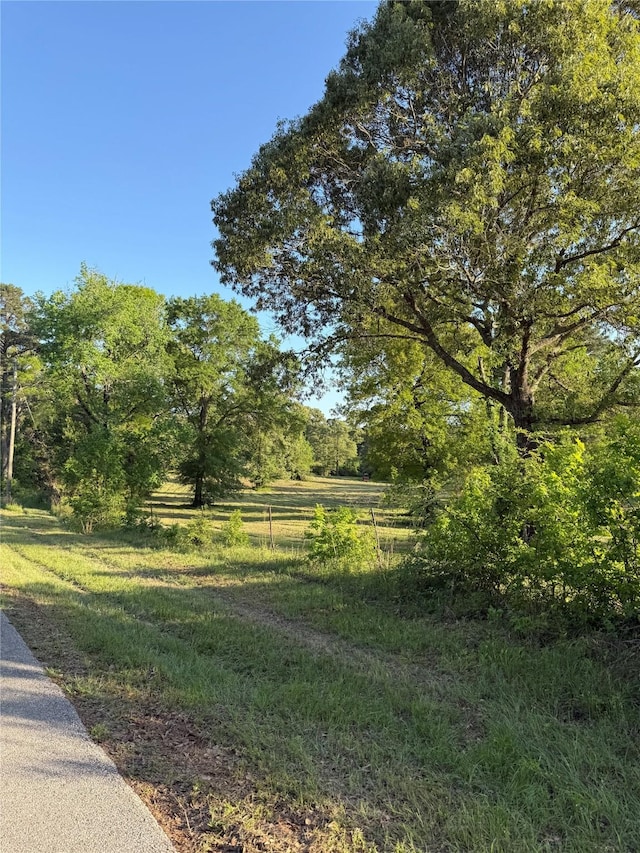 00 Faulkner St, Coldspring, TX 77331 - photo 2