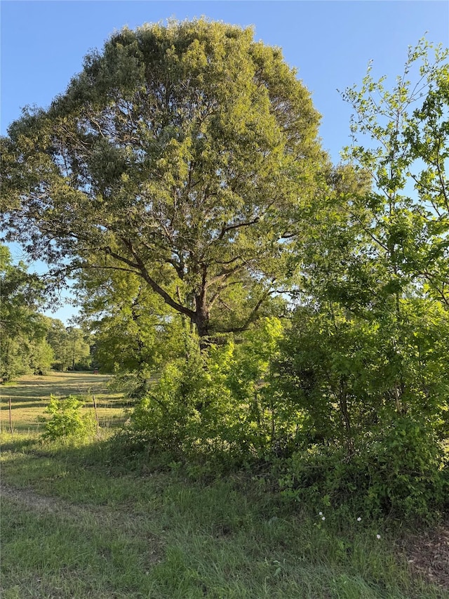 00 Faulkner St, Coldspring, TX 77331 - photo 3