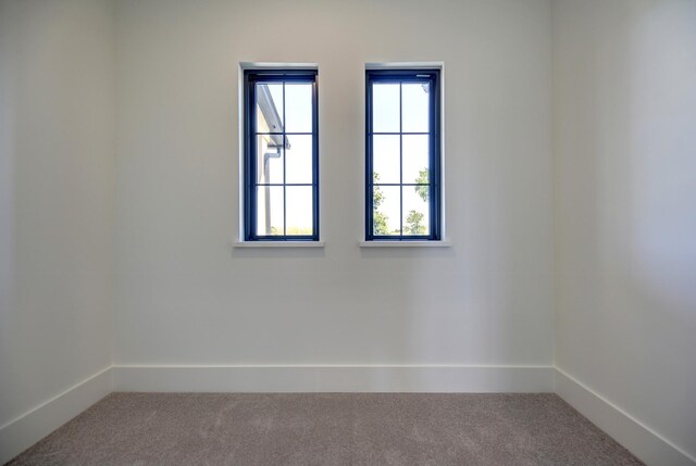 10726 Sunshine Ct, Chappell Hill, TX 75703 - photo 42