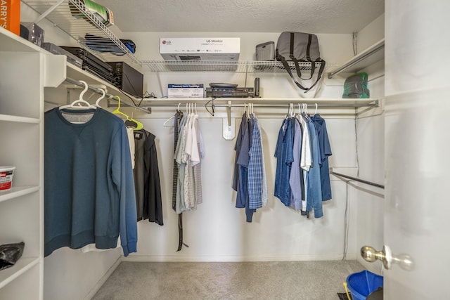walk in closet with carpet floors