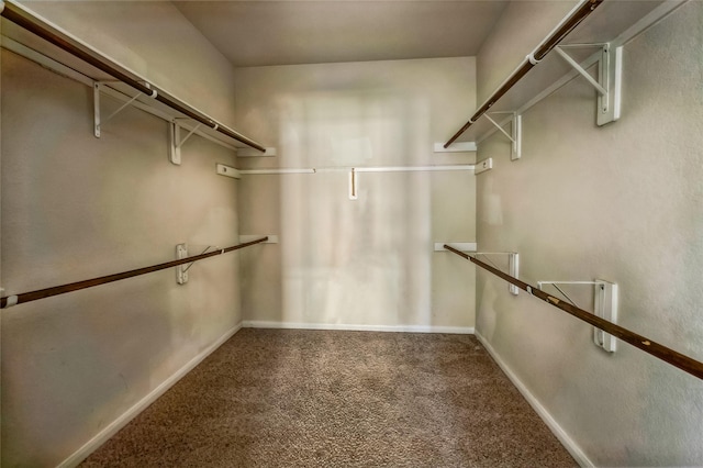 walk in closet featuring carpet