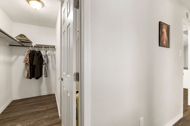 walk in closet featuring visible vents and wood finished floors